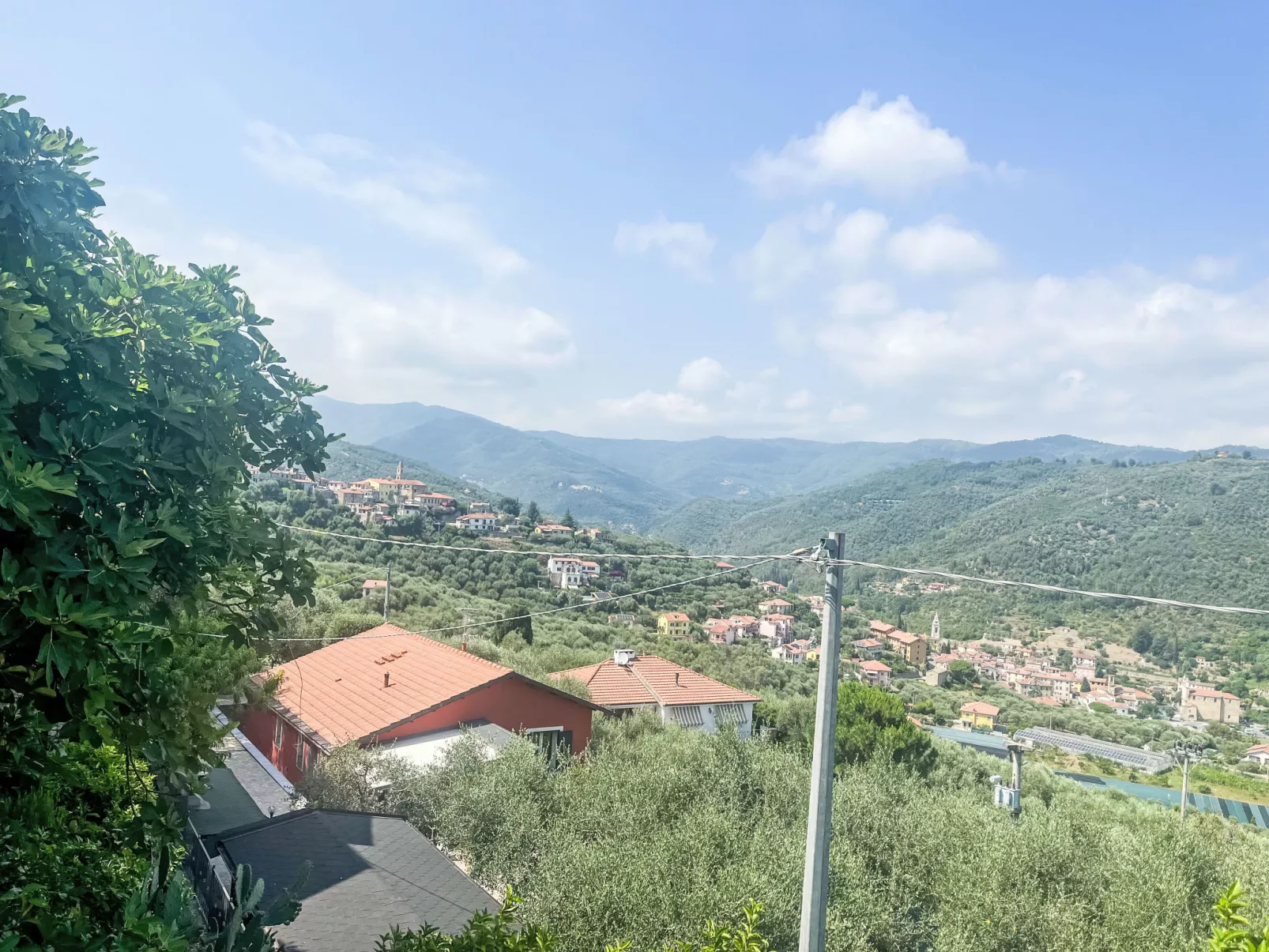 Marisa (DOL126)-Buiten