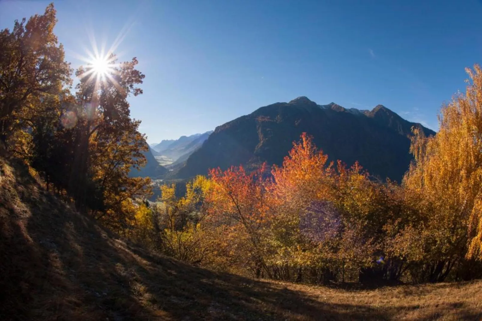 Ferienwohnung Jutta-Gebieden zomer 20km