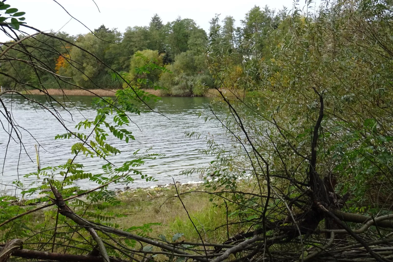 Luxus Appartement / 3 Personen-Gebieden zomer 5km