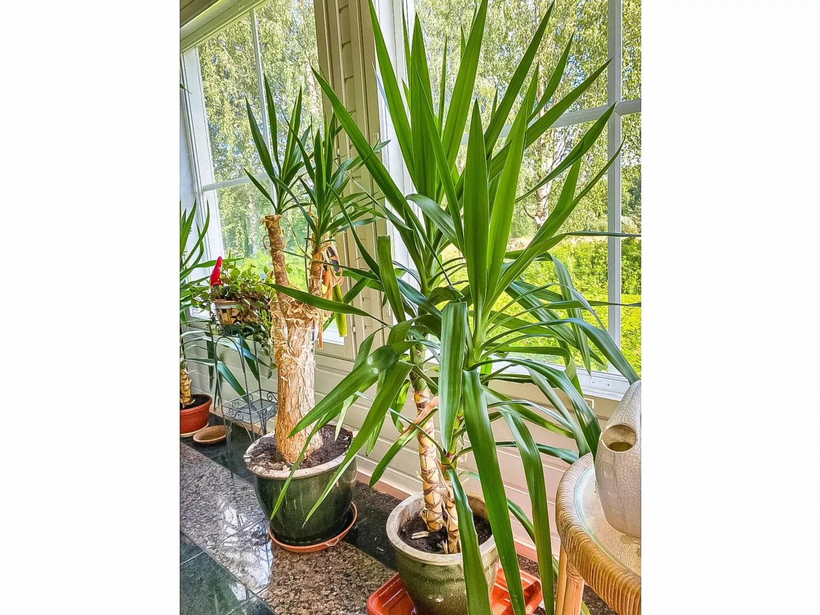 Grand villa kemijoki-Binnen