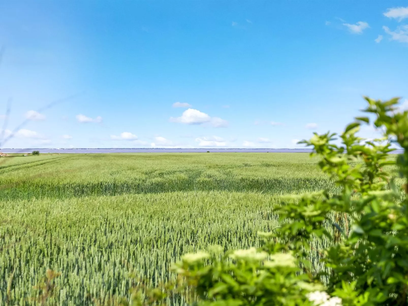 "Freja" - 12km from the sea-Buiten