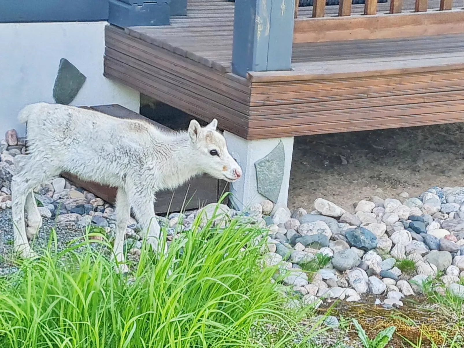 Vuosselinkulma 1-Binnen
