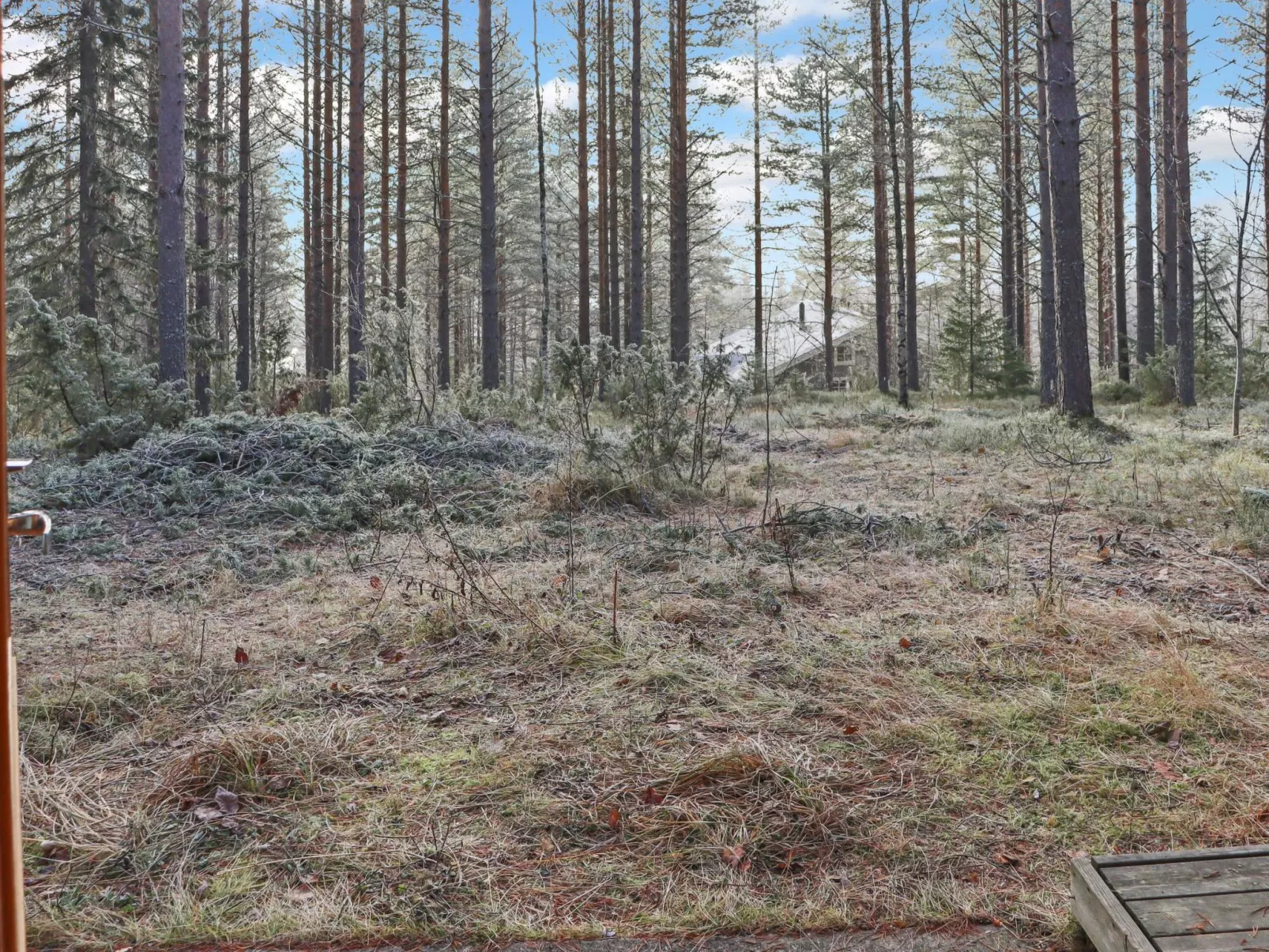 Alppitalo mökki-Binnen