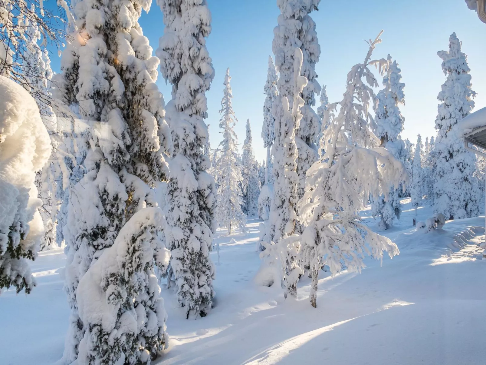 Vuosselinhovi c-Binnen