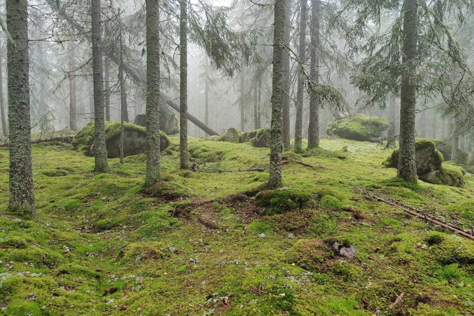 4 sterren vakantie huis in KIL-Niet-getagd