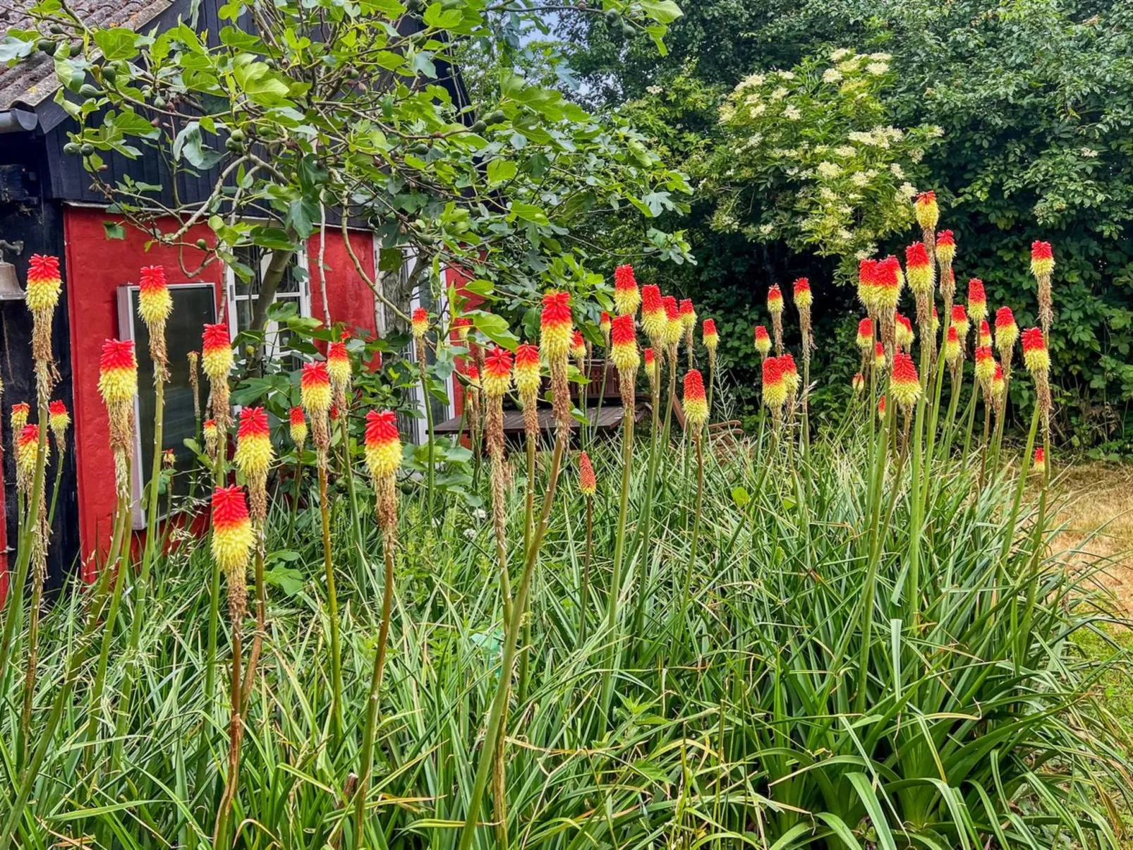 "Virpi" - 8km from the sea-Buiten