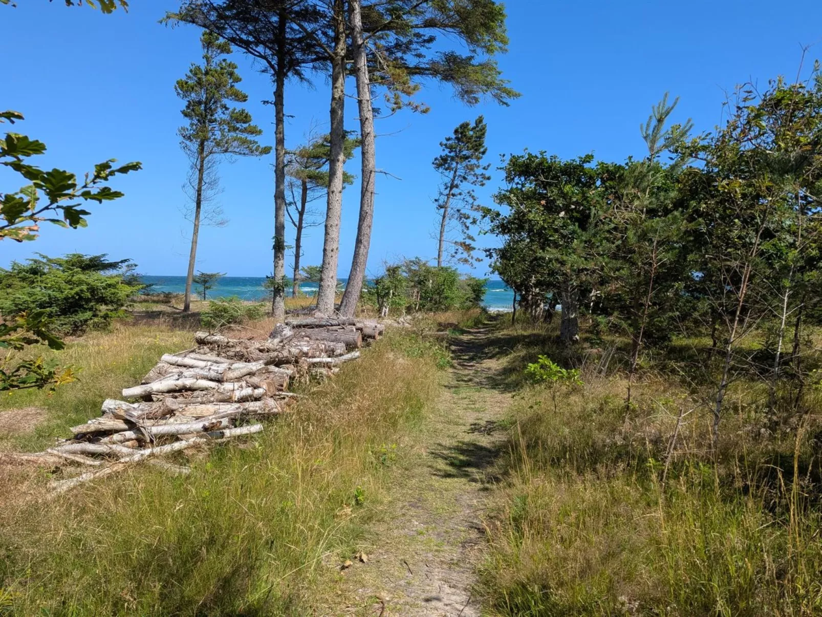 "Farman" - 200m from the sea-Buiten