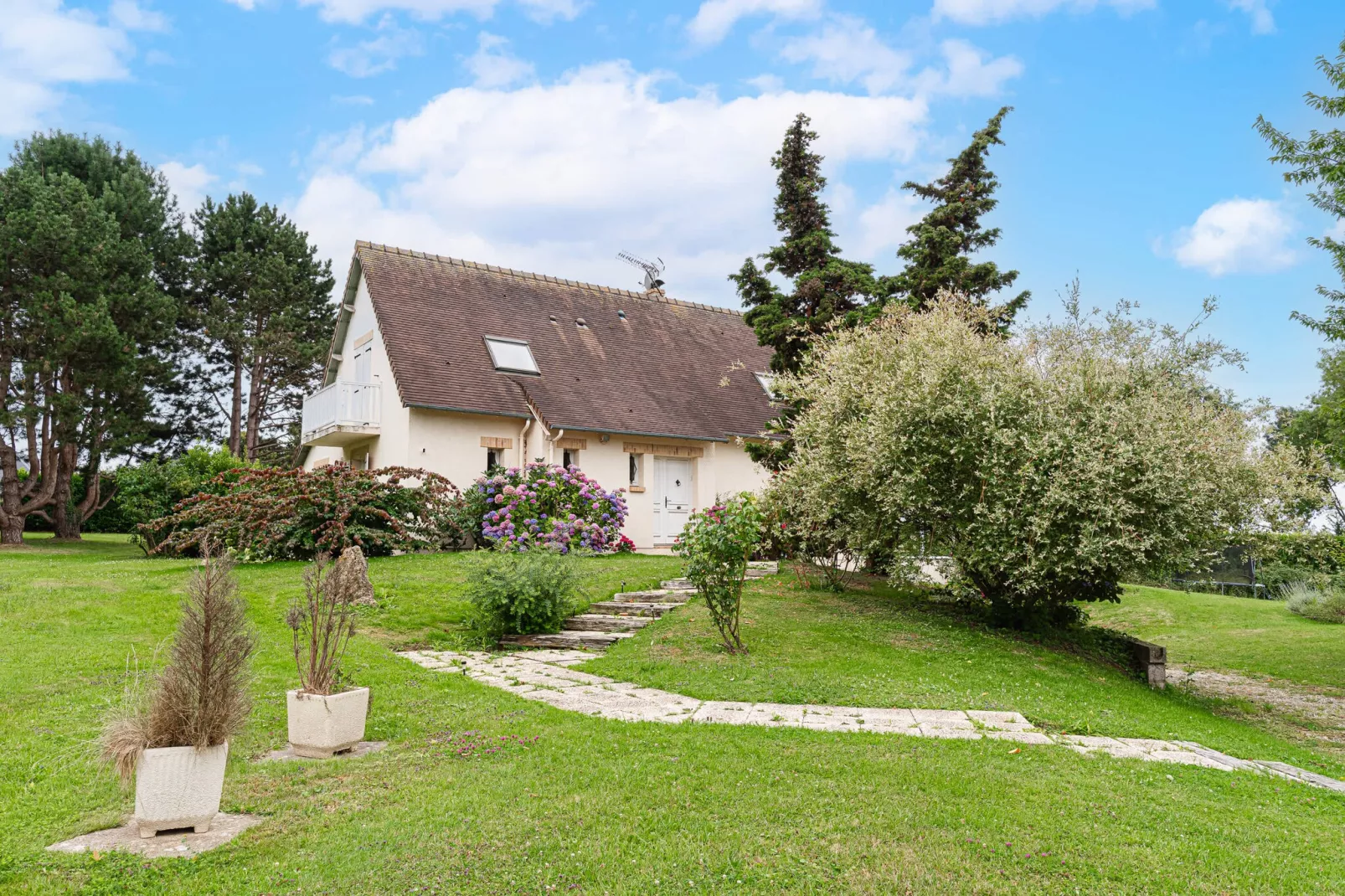 DEAUVILLE DJEBALI-Niet-getagd