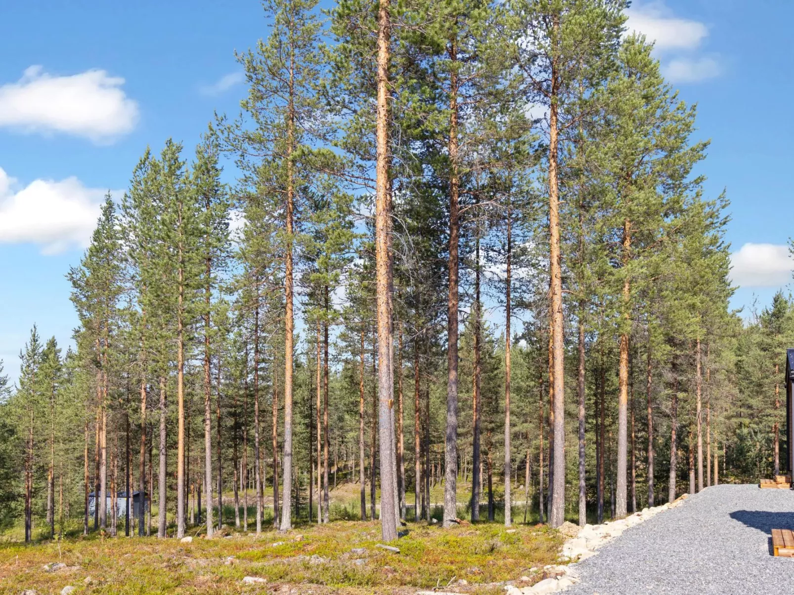 Visit pyhä cabins g-Binnen