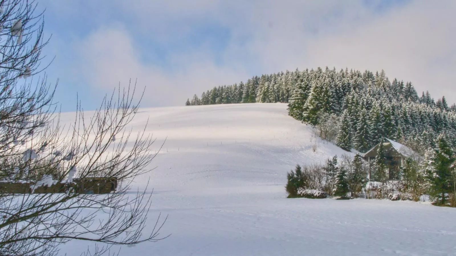 Alte Muehle-Gebied winter 1km