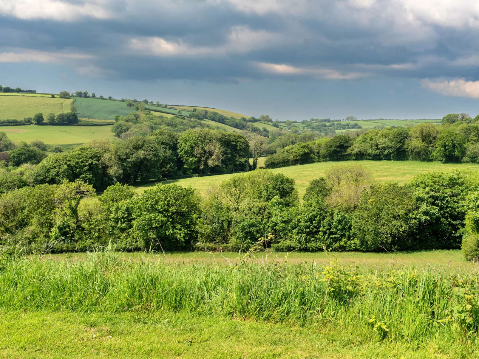 The Shippon at Lestitha-Buiten