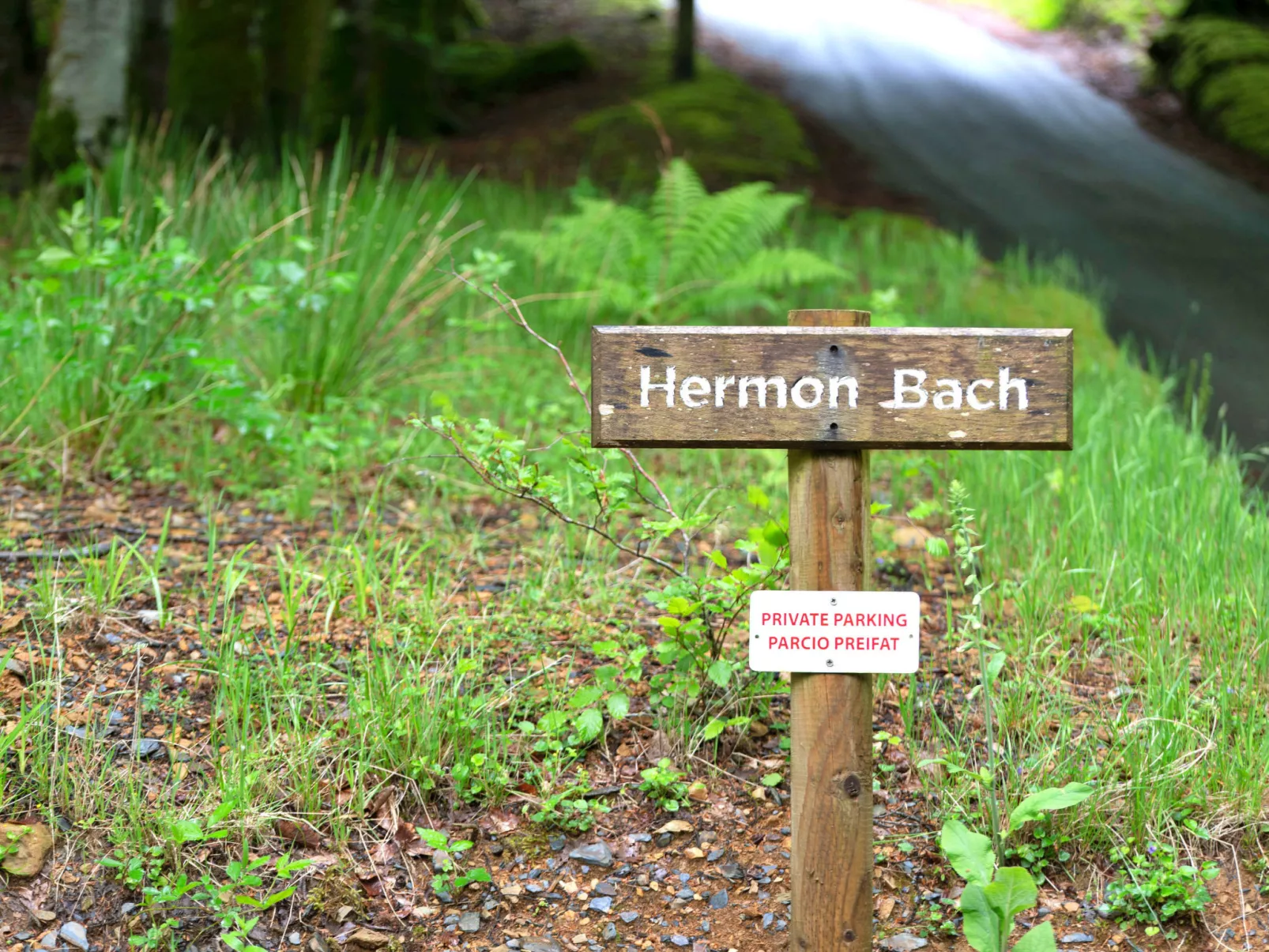 Hermon Bach-Buiten