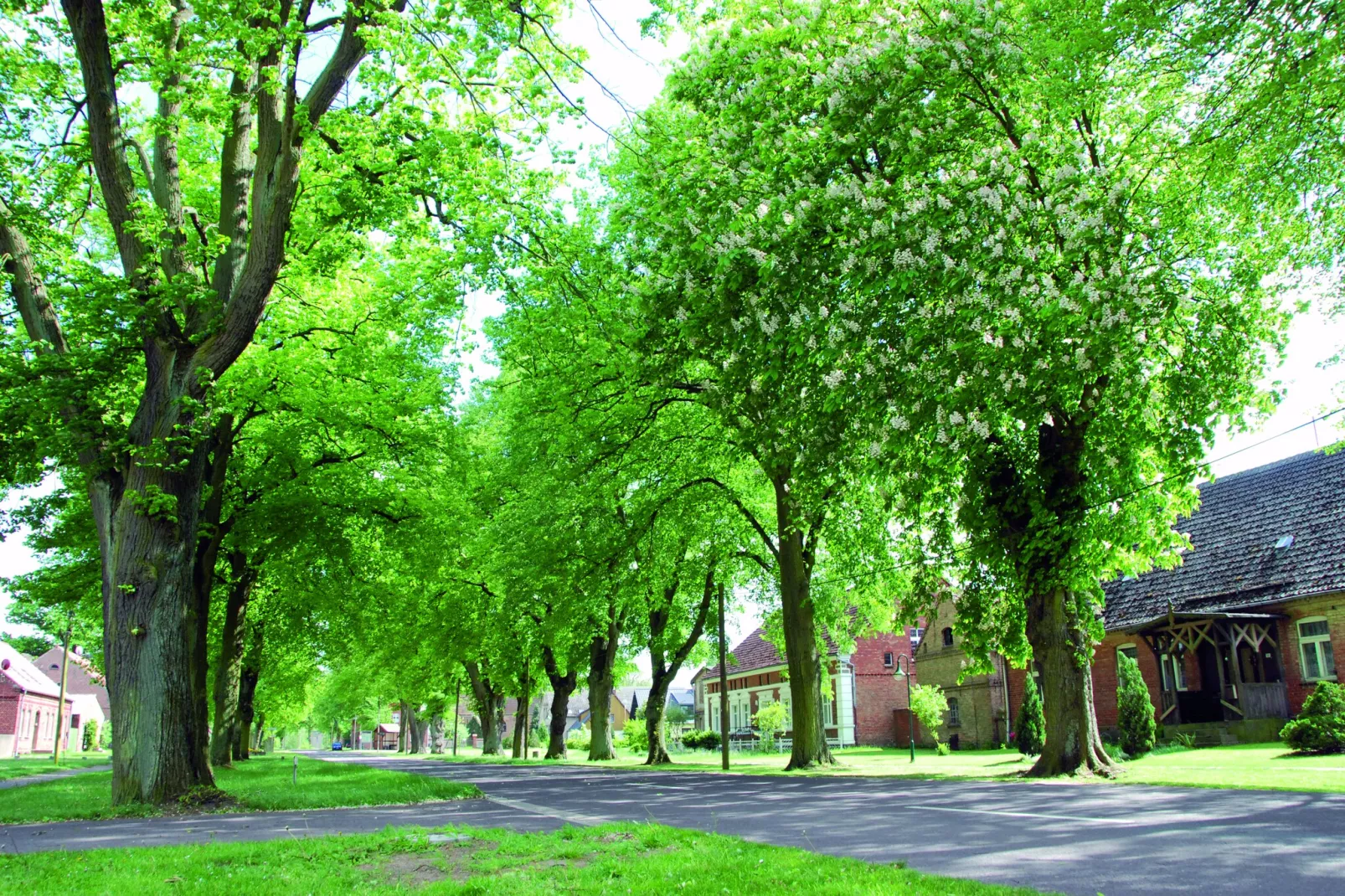 Nr5 - Schwalbennest 5 Personen-Gebieden zomer 1km
