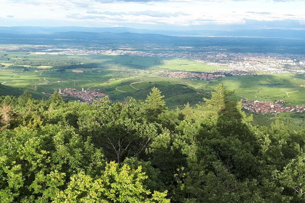 479485 - Niet-getagd