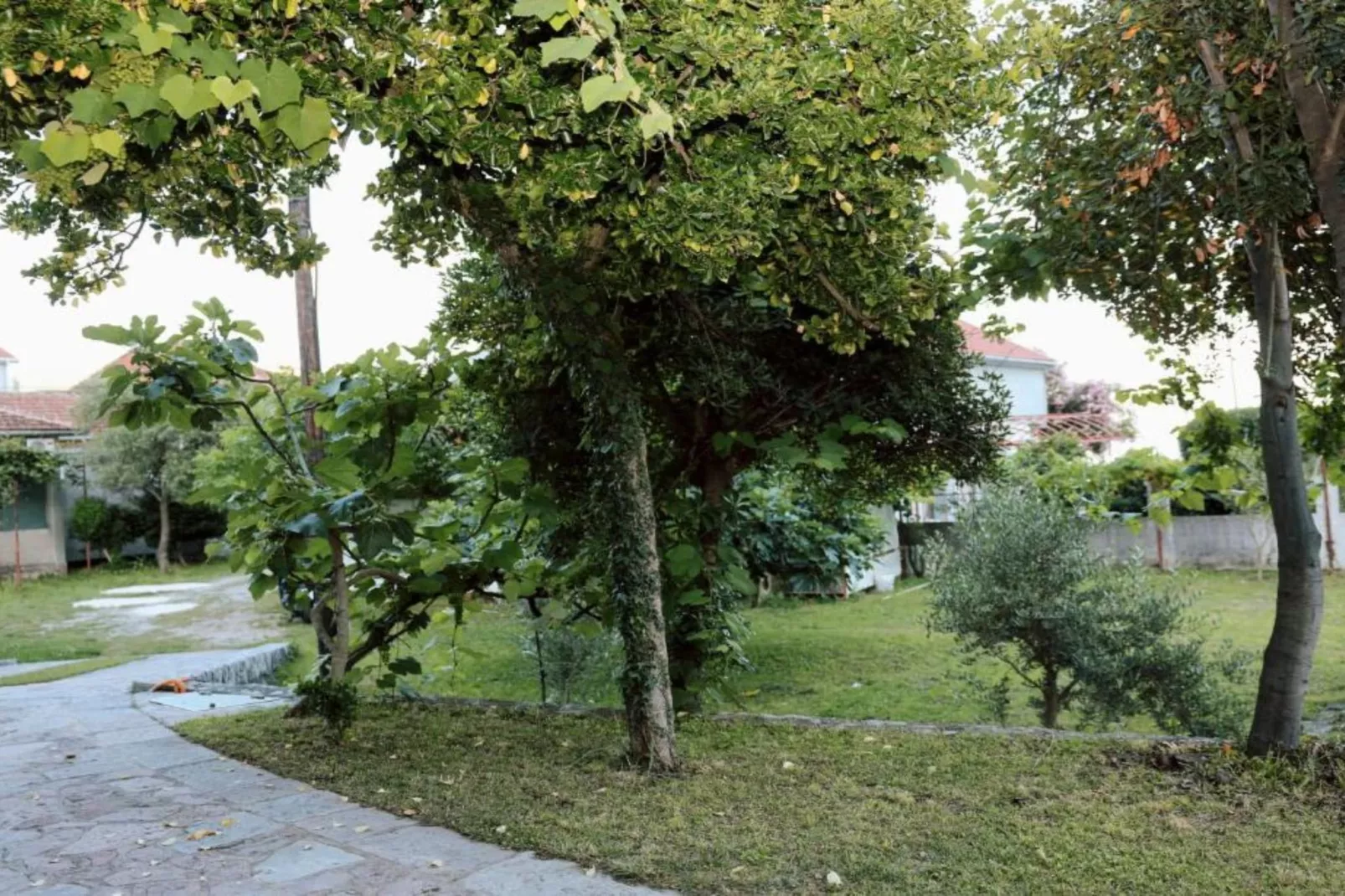 Stylish Apartment with Modern Elegance in Herceg Novi Area - Deluxe One Bedroom Apartment with Terrace-Buitenlucht