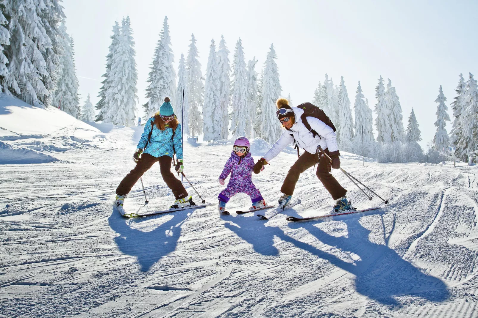 Les Sorbiers-Gebied winter 20km