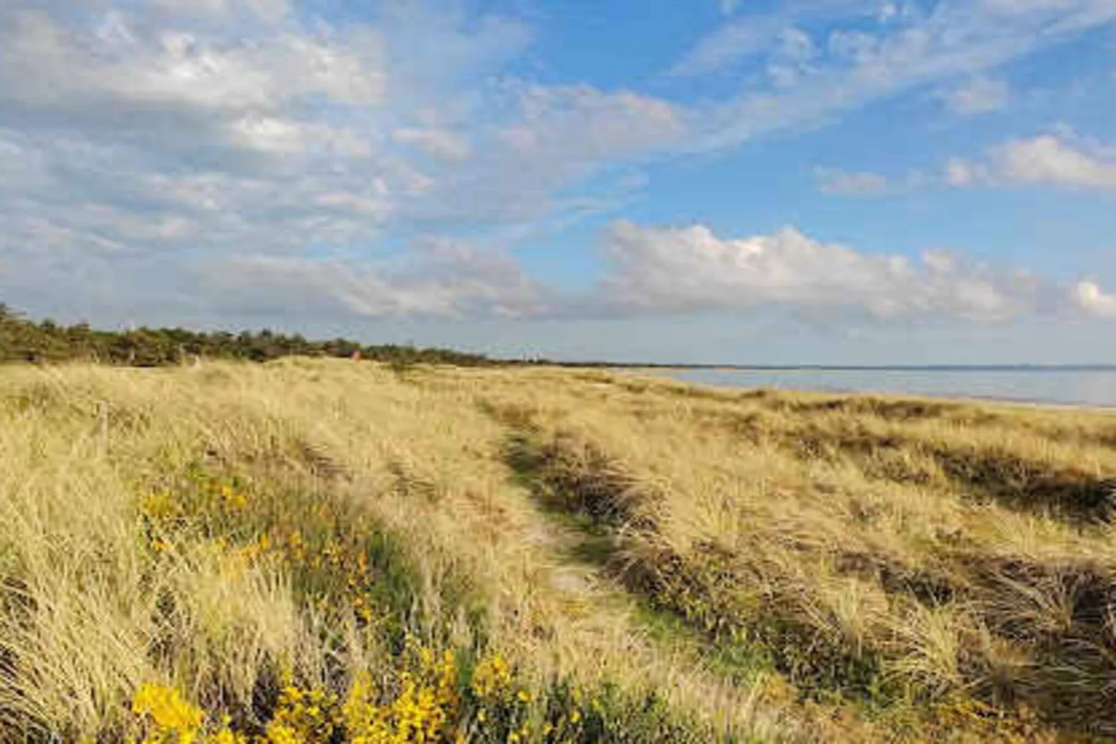 5 sterren vakantie huis in Højby-Buitenlucht