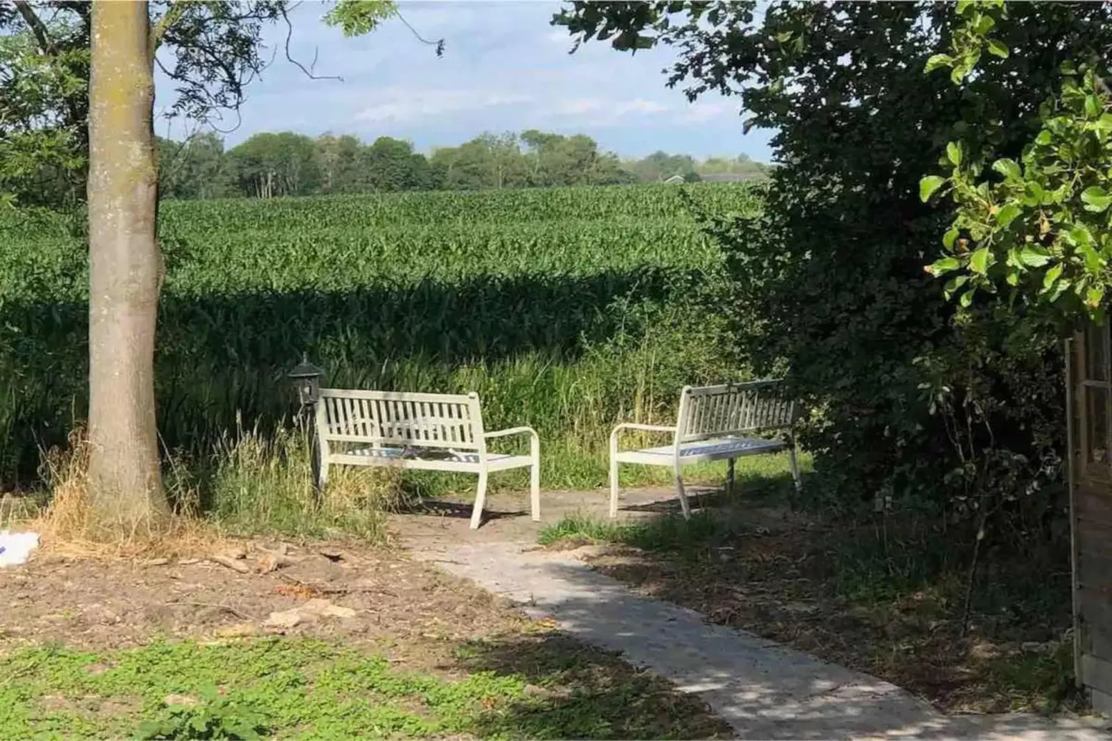 6 - Person Forest Pet & Family Bungalow-Gebieden zomer 5km