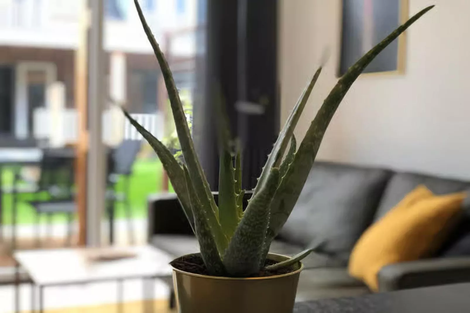 Plein 40 Lodge 23-Sfeer