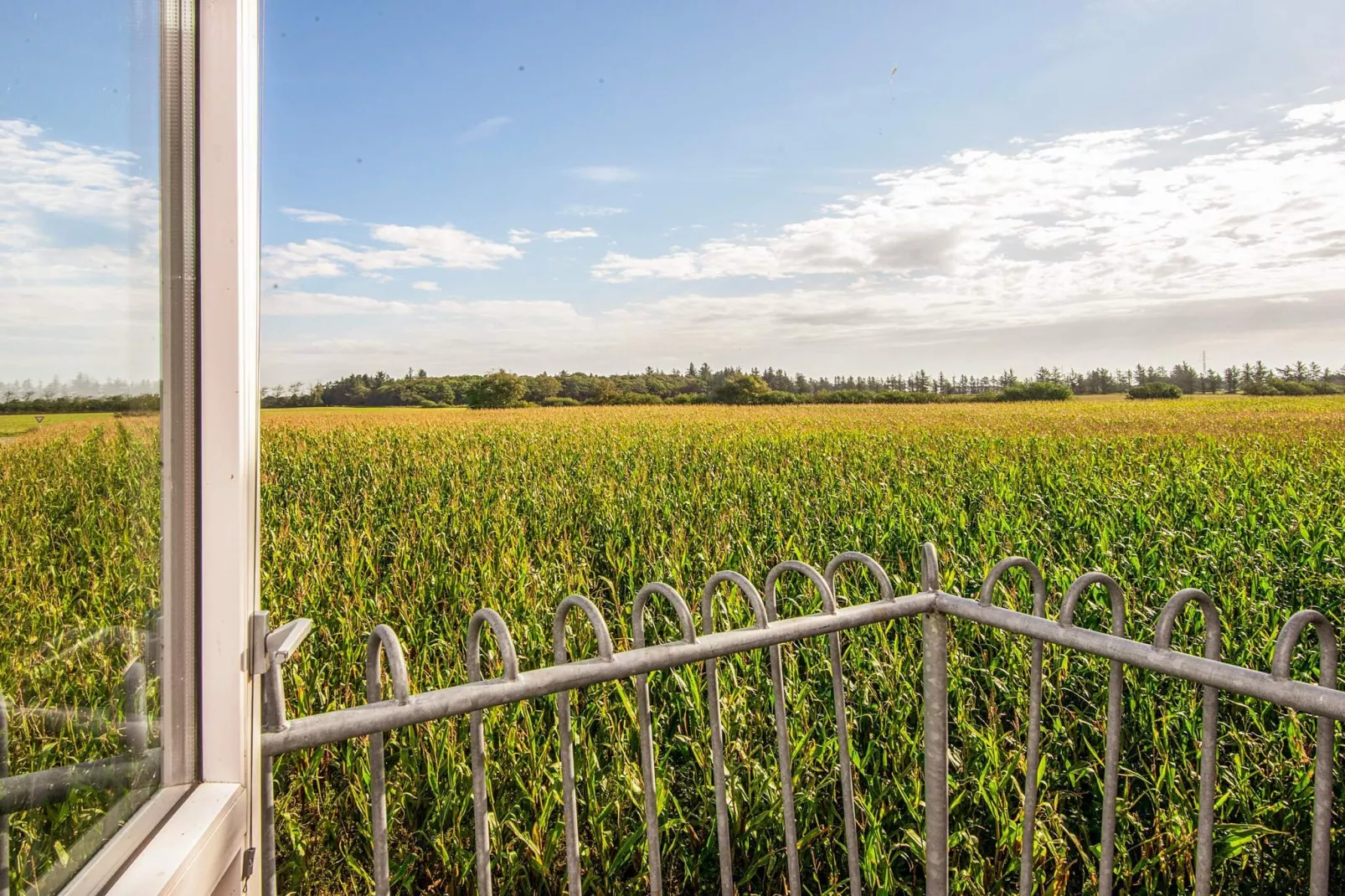 12 persoons vakantie huis in Bredebro-By Traum-Uitzicht