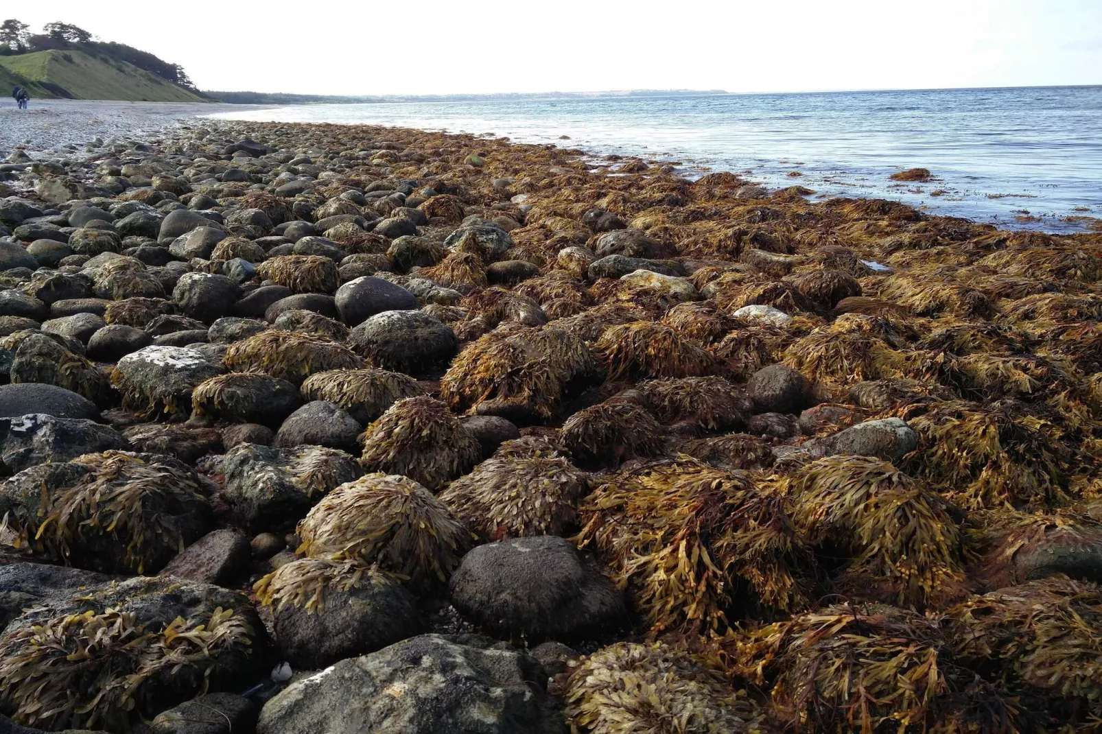 6 persoons vakantie huis in Nykøbing Sj-By Traum-Waterzicht