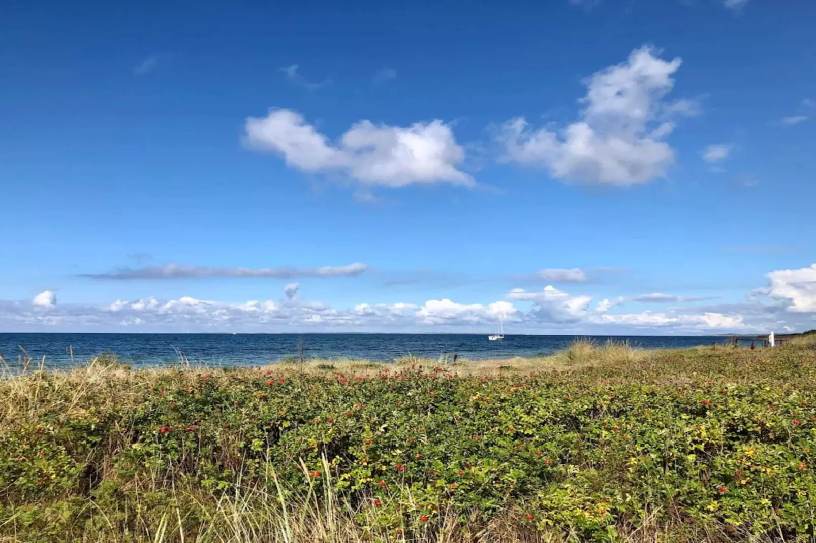 8 persoons vakantie huis in Bagenkop-By Traum-Waterzicht