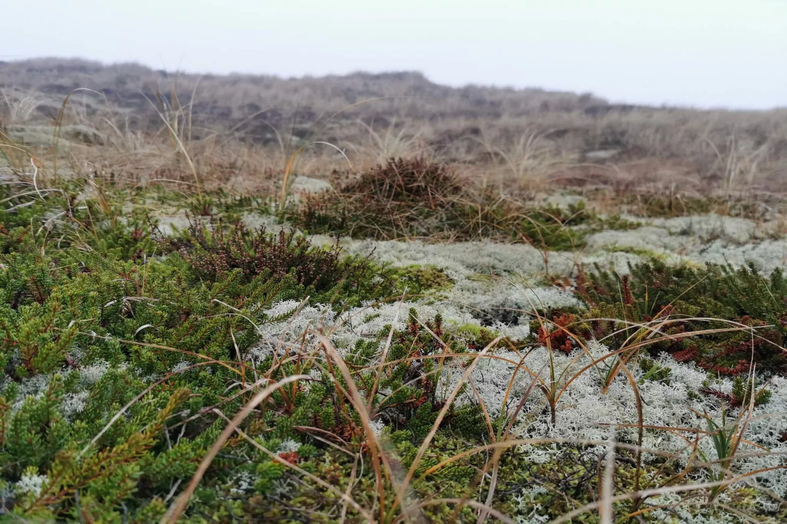 6 persoons vakantie huis in Hemmet-By Traum-Waterzicht