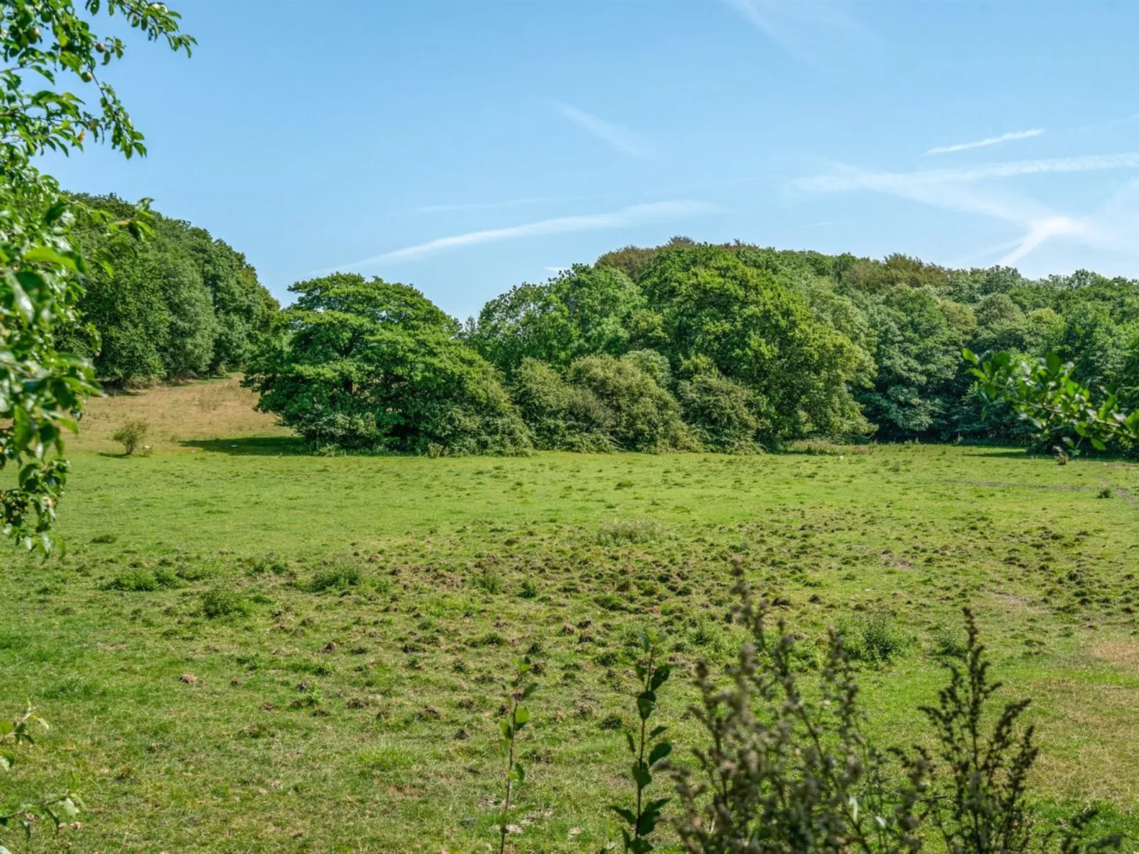 "Jeppe" - 50m to the fjord-Buiten