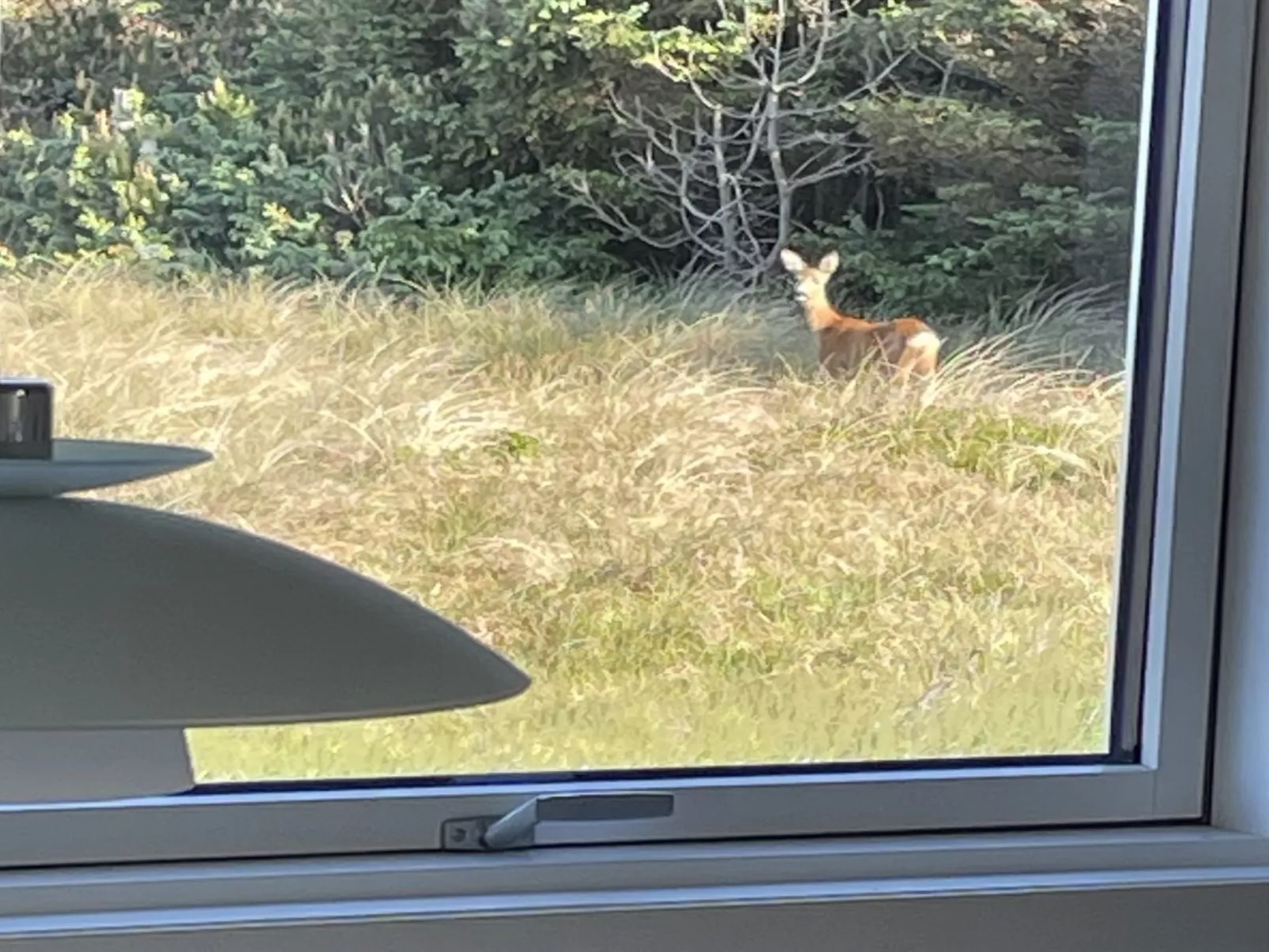 "Carelle" - 300m from the sea-Binnen