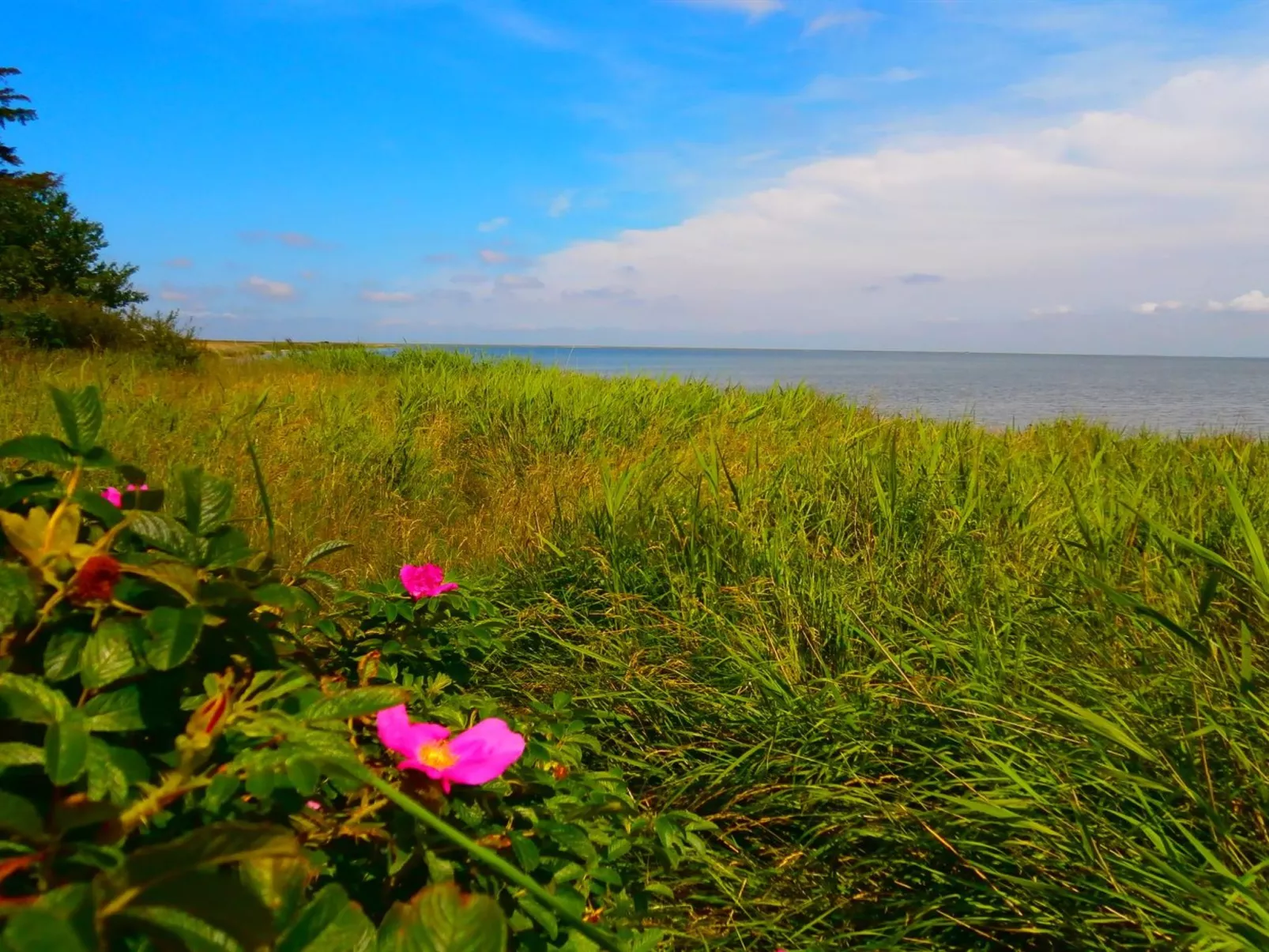 "Vivan" - 3.8km from the sea-Buiten