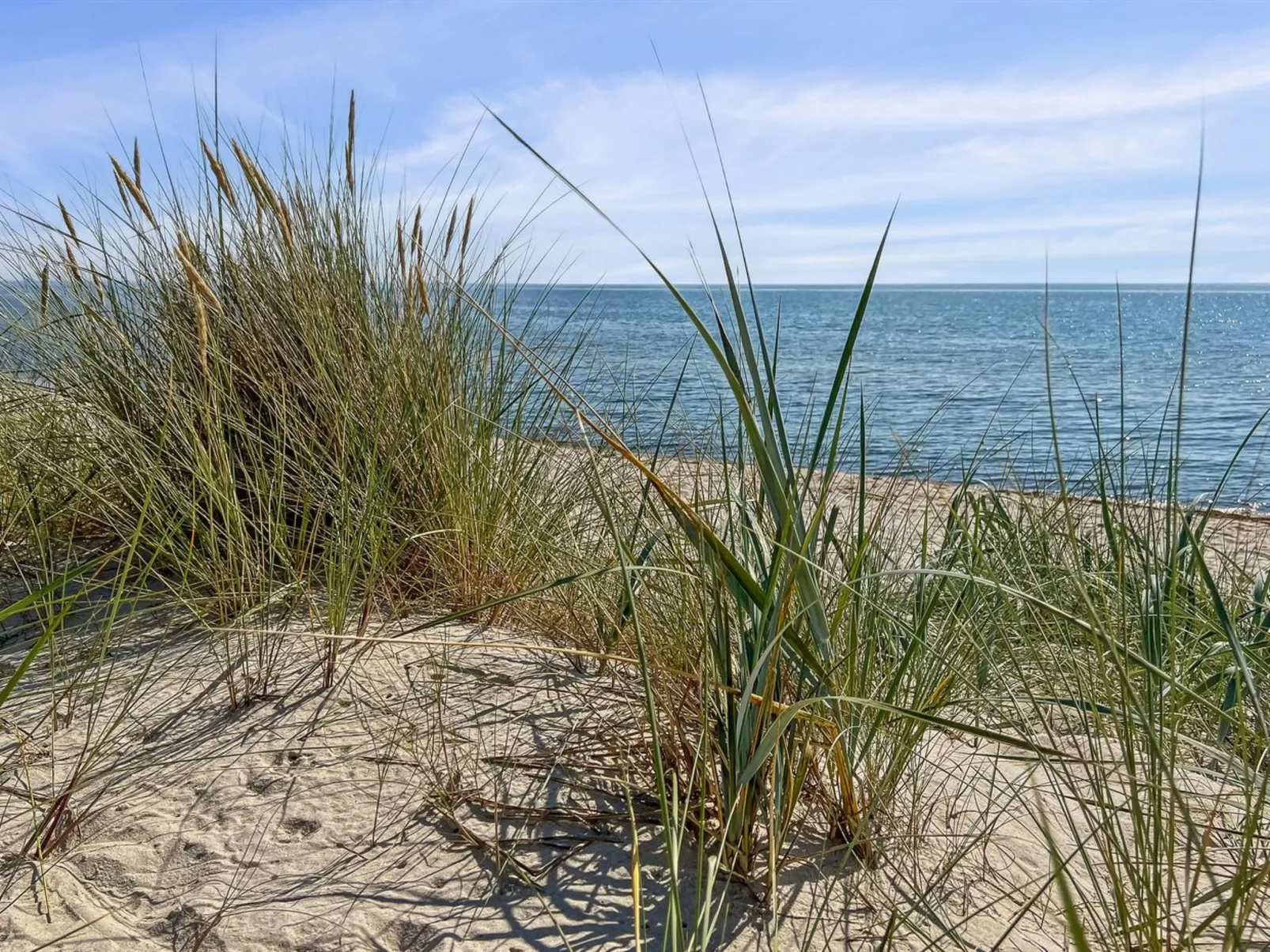 "Mikkelina" - 700m from the sea-Buiten