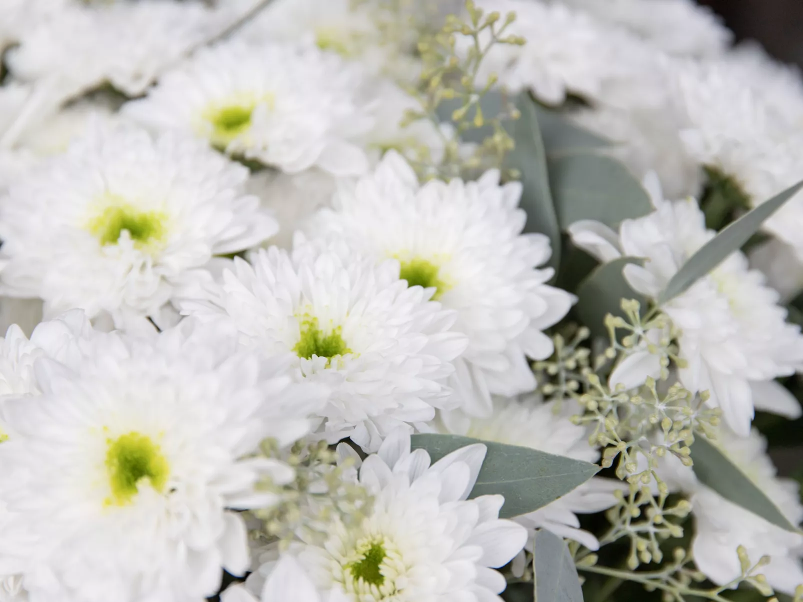 Chesa Piz Padella - St. Moritz-Binnen