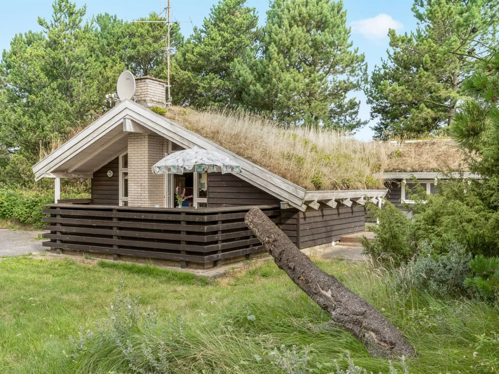 "Alfi" - 150m from the sea-Buiten