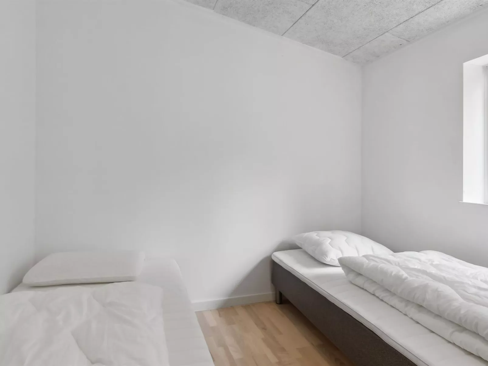 "Odsten" - 800m from the sea-Binnen