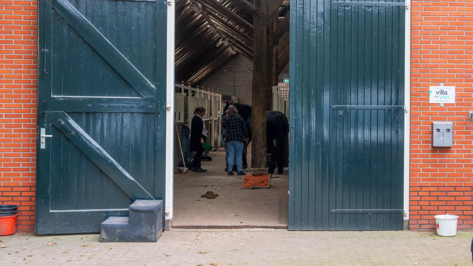 Rutershoeske-Gebieden zomer 1km