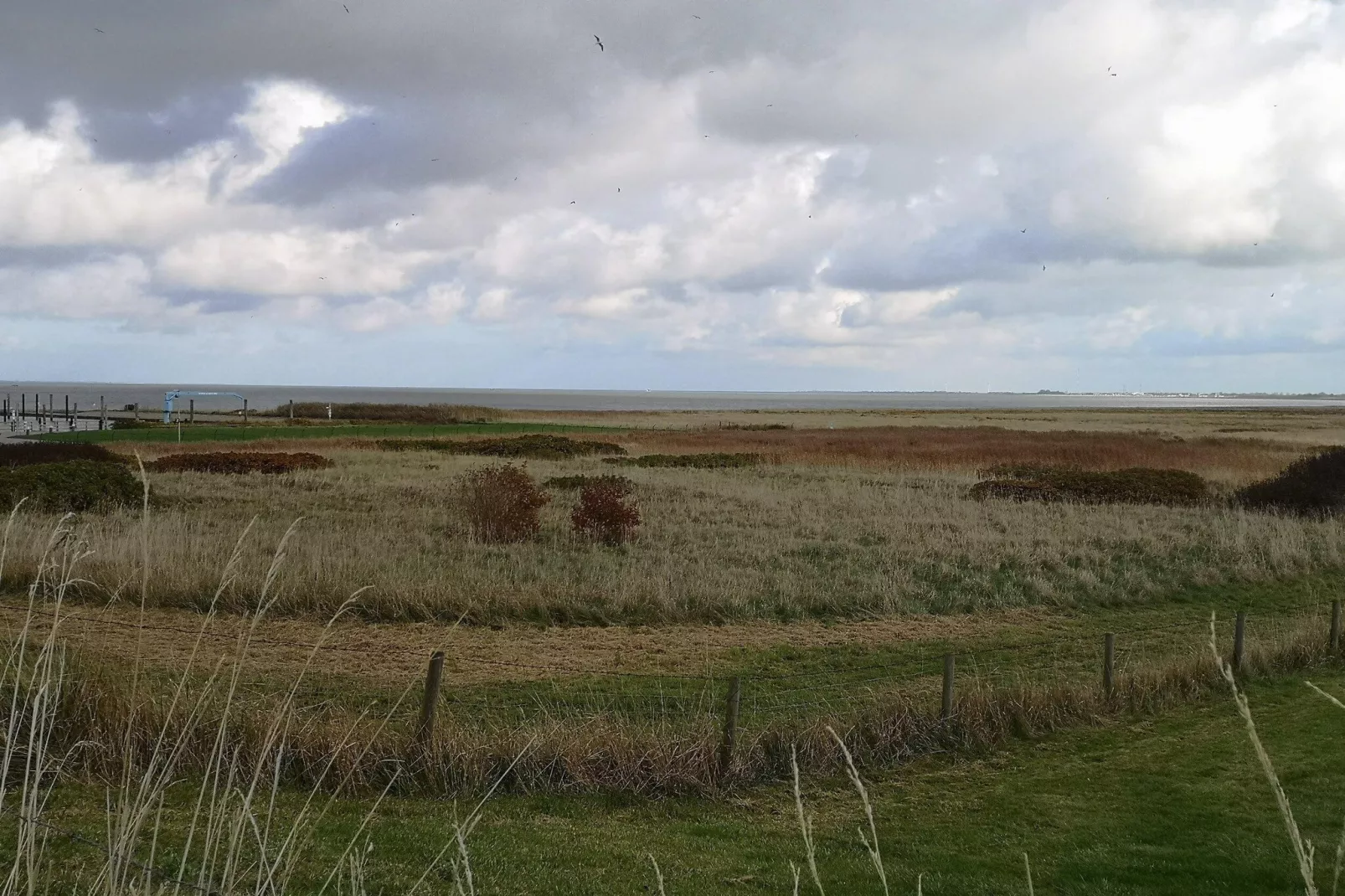 Doppelhaushälfte Wattwurm 34-Gebieden zomer 5km