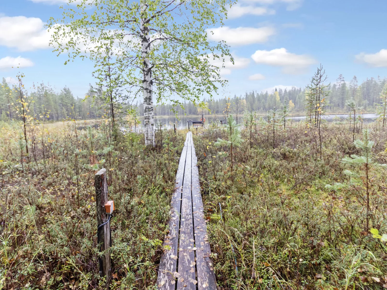 Koppelokangas-Binnen