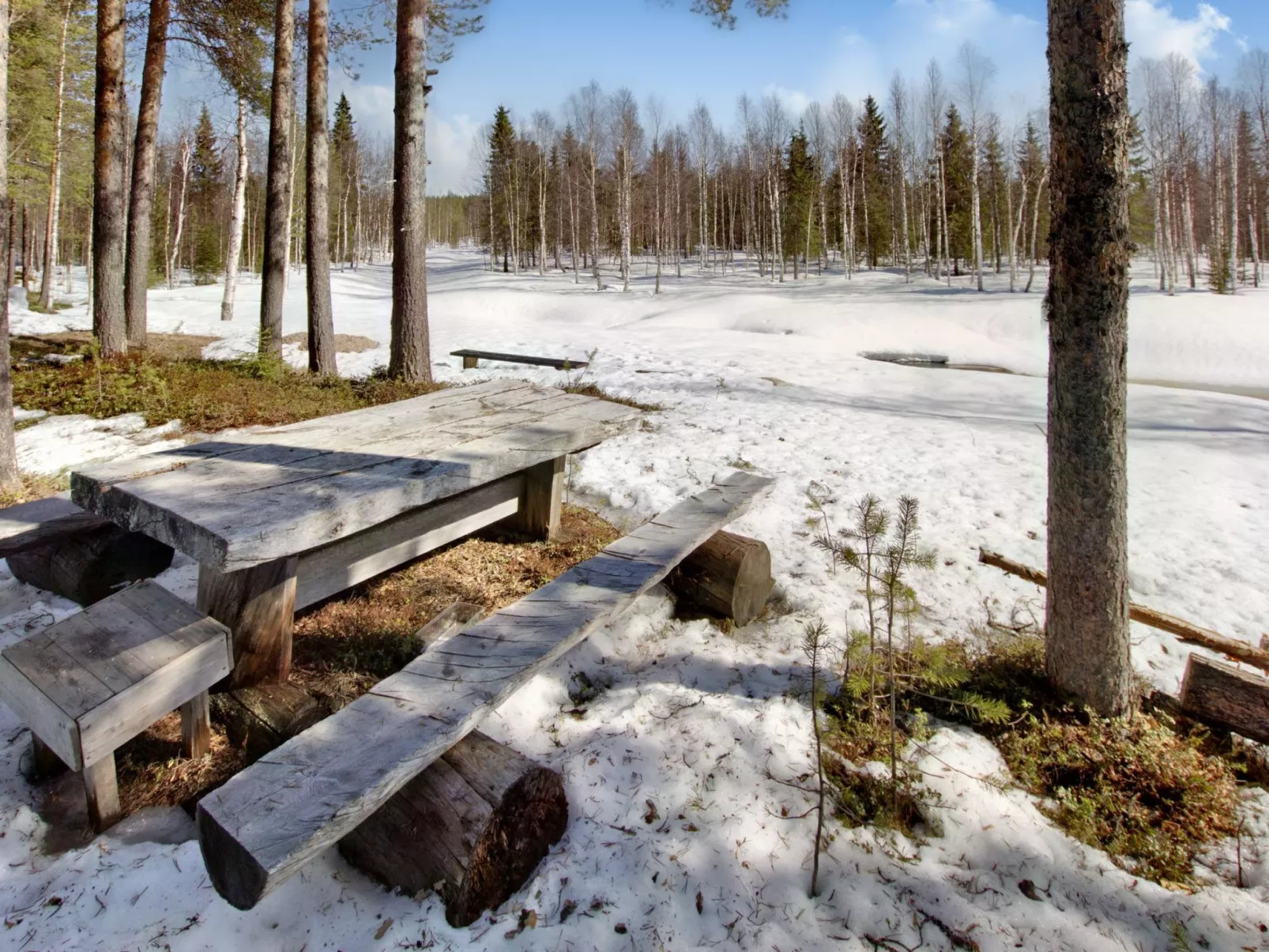 Hankisääski-Binnen