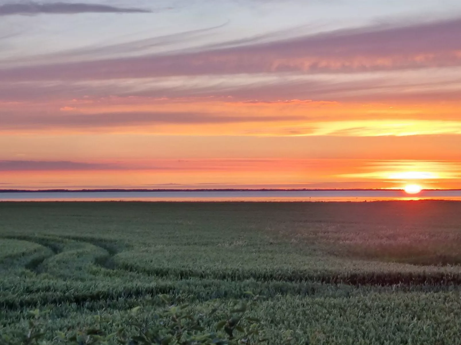 "Freja" - 12km from the sea-Buiten