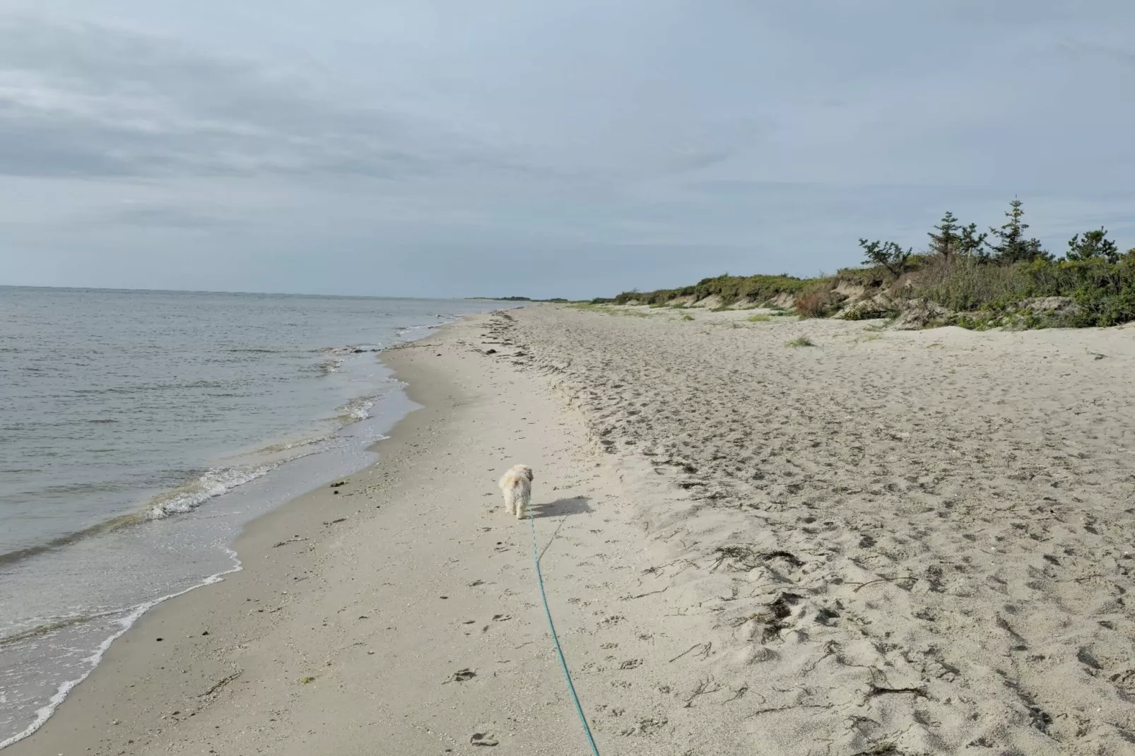 6 Personen vakantie huis in Sæby-Waterzicht