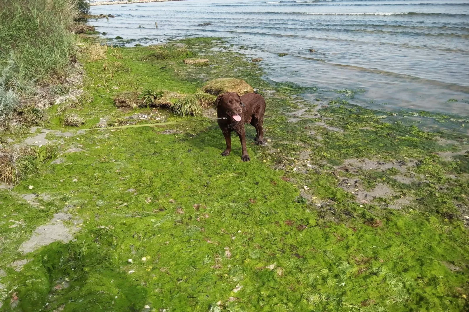 6 Personen vakantie huis in Storvorde-Waterzicht