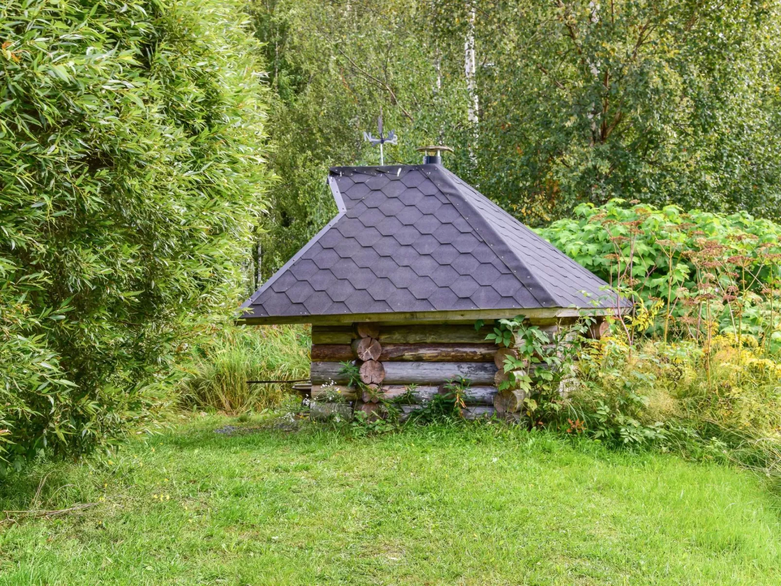 Petäjäniemi-Binnen