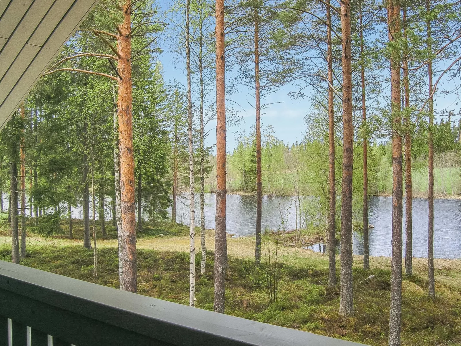 Yläneuvola niemi-Binnen