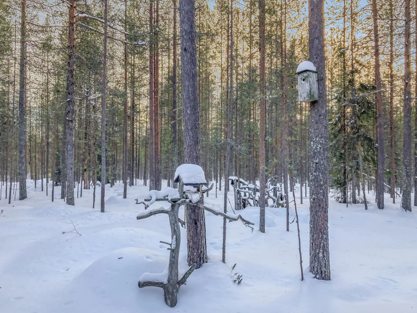 Rukanlumous 1-Binnen