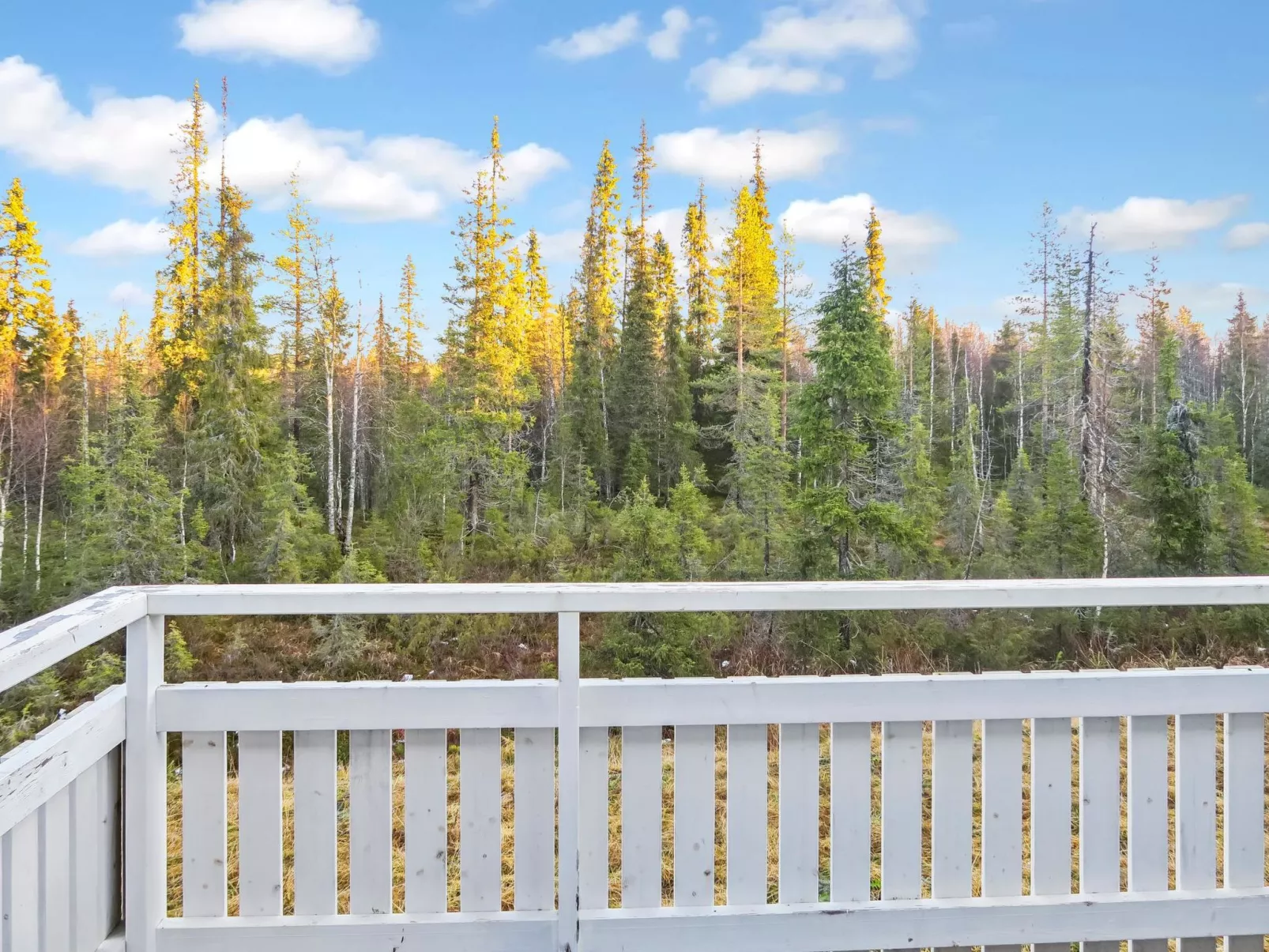 Iso-karpalo a-Binnen