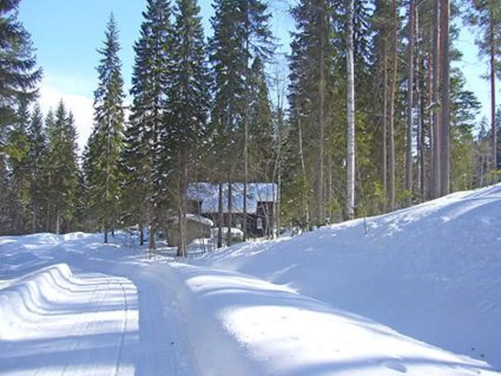 Villa savonia-Binnen