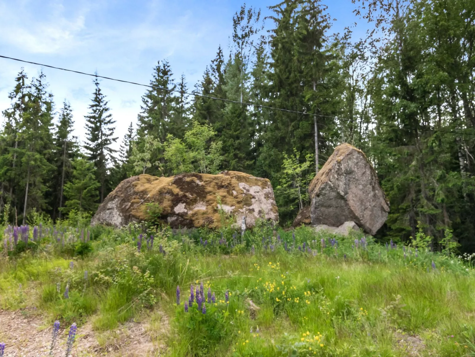 Villa pihlaja-Binnen