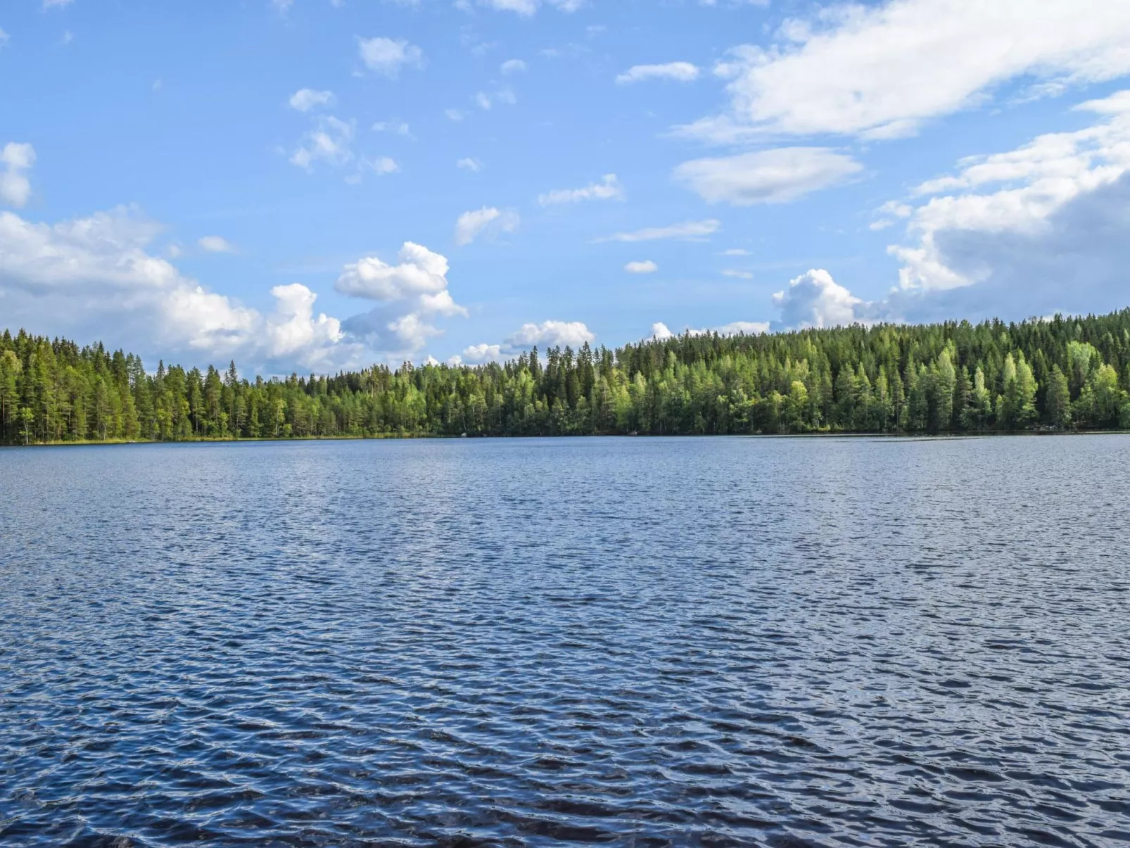 Lekojärven herra-Binnen