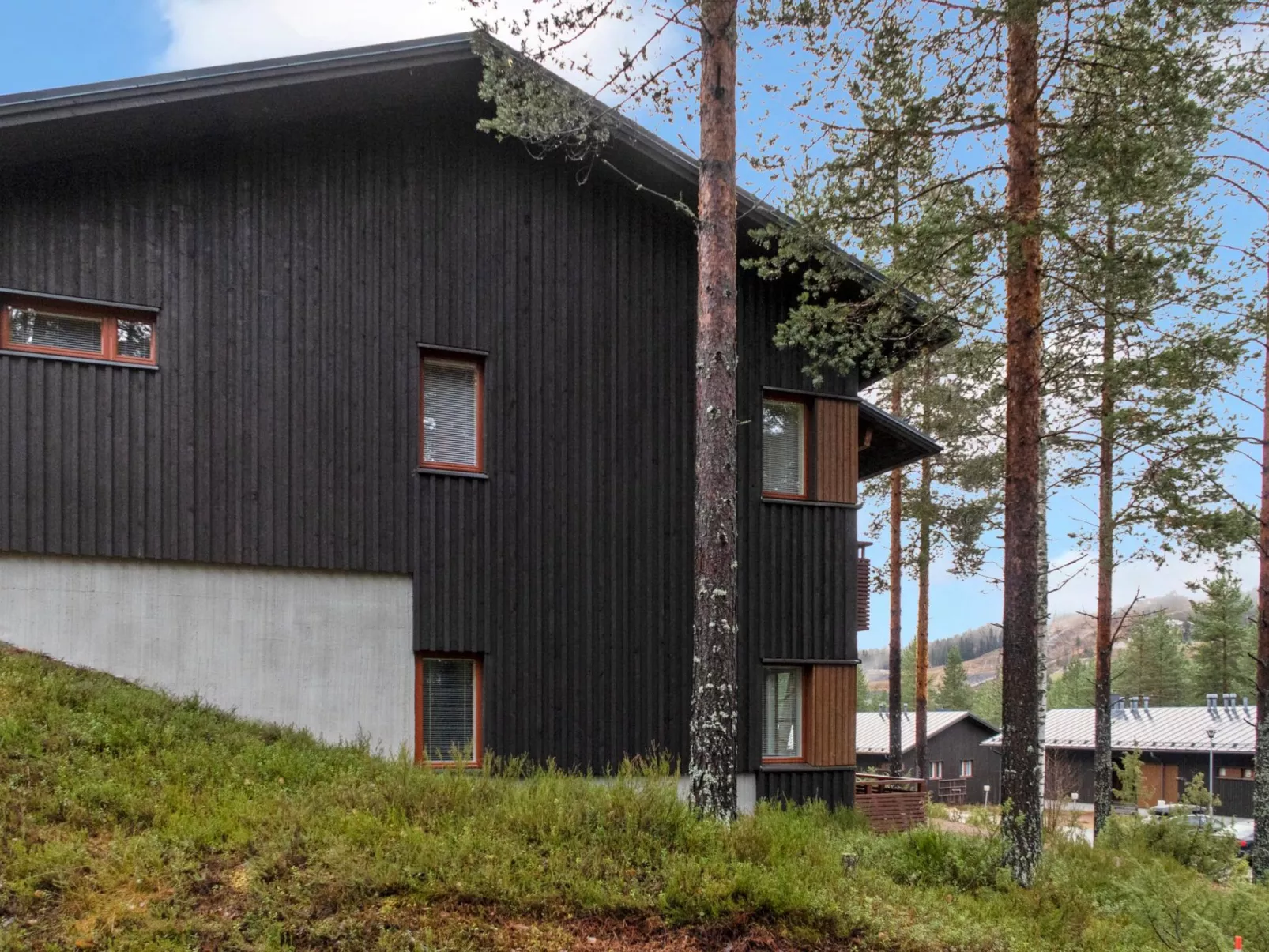 Vuokatti panorama-Binnen