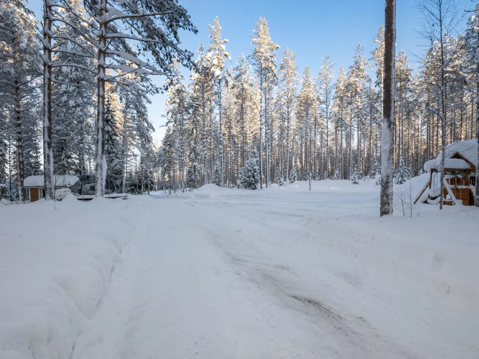 Aamunsarastus-Binnen